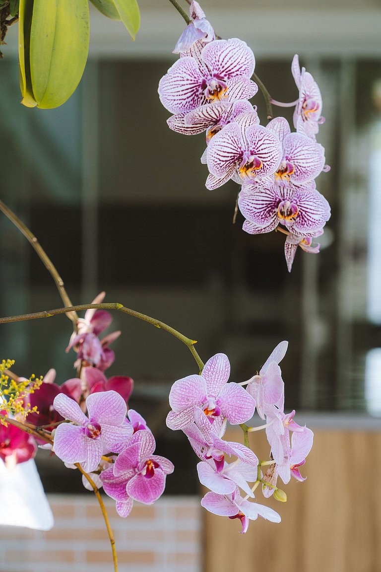 Casa com piscina e área de lazer com 08 dormitórios