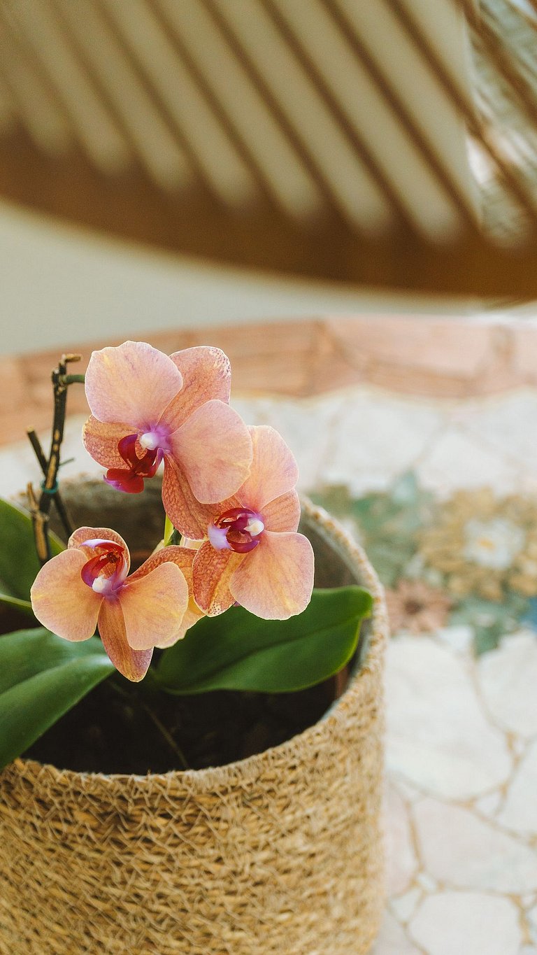 Beira-mar em Canto Grande para 08 pessoas