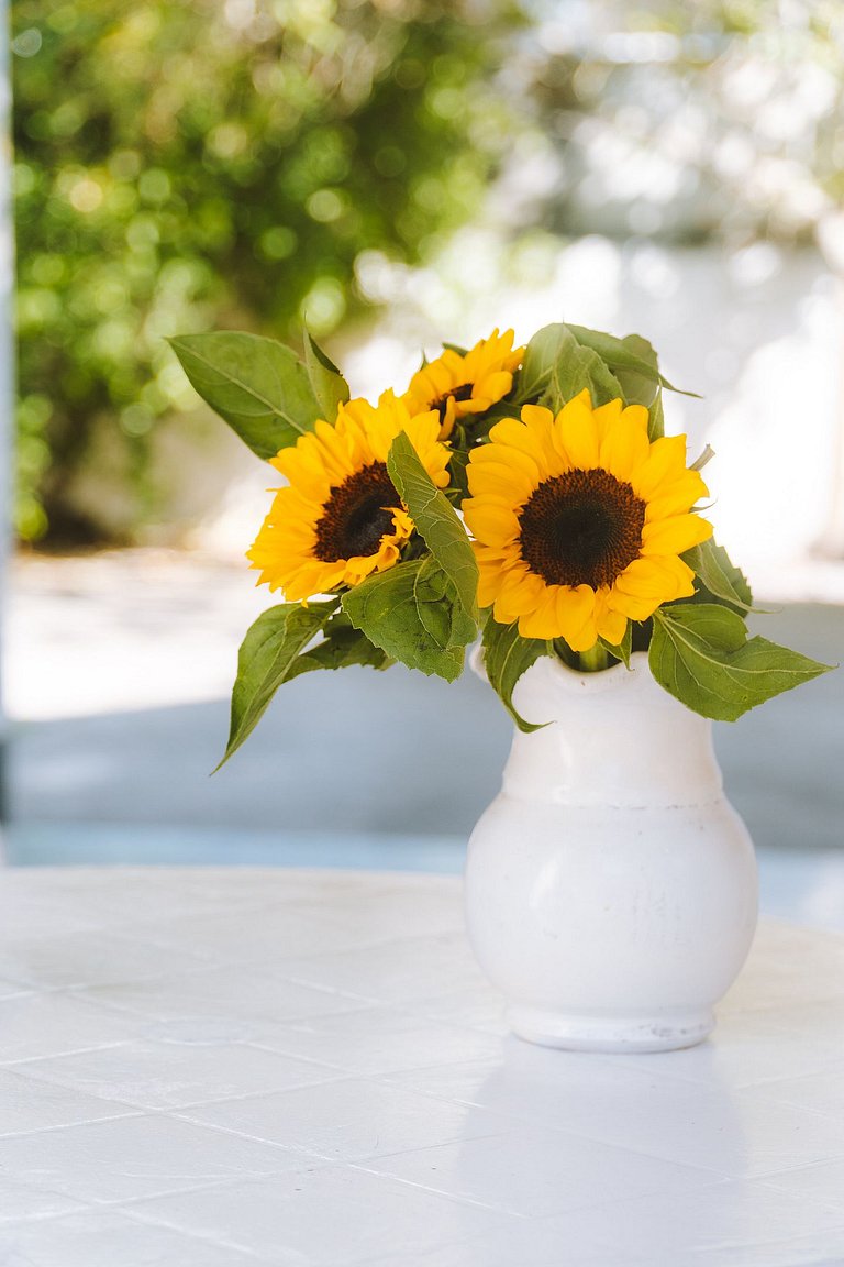 Casa com 02 quartos 150m da praia